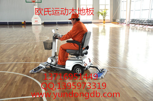 篮球运动木地板