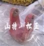 原装小松机构件,PC360-7大臂前叉,销轴,衬套