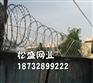 包头刺绳护栏网,包头刀片刺网厂家