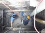 质量过关、技术过硬上海闵行区莘庄地面地毯清洗保洁公司