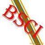 BSCI审核评分标准│BSCI审核结果分类│BSCI如何申请