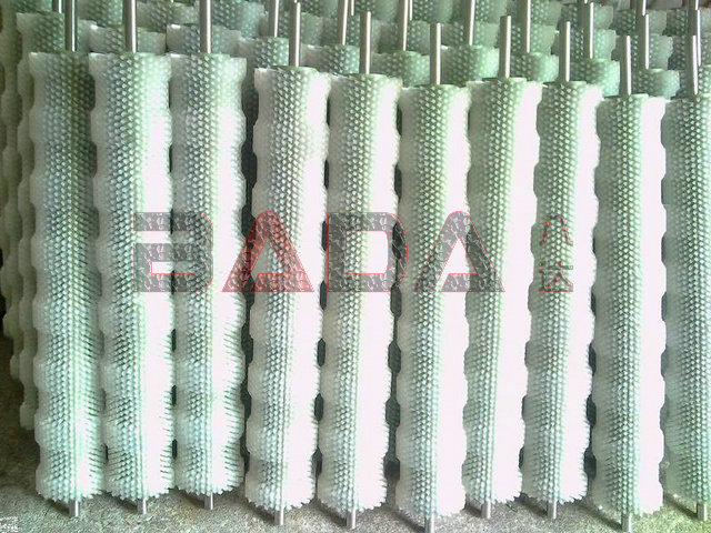供应新一代红枣清洗机尼龙毛刷