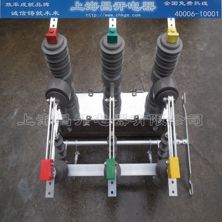 ZW20-12F/630-20户外分界真空断路器,看门狗