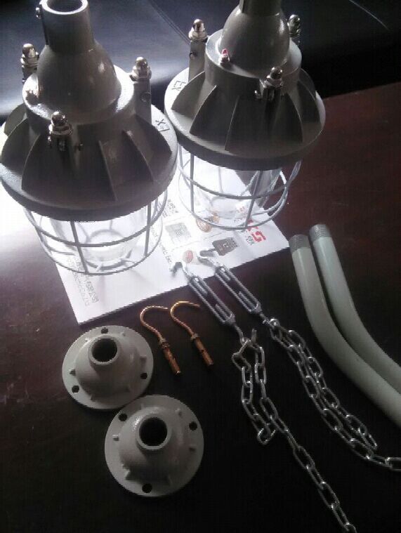 吸顶式隔爆型防爆灯BAD581-Z仓库防潮隔爆型防爆灯  带网罩防爆灯  防爆节能灯  吊链防爆灯
