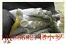 龙山县新型保温玻璃棉卷毡