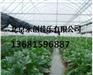 北京新式钢管温室蔬菜大棚，钢管温室大棚骨架加工