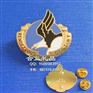 雄鹰徽章，精英会徽章，企业公司徽章，仿珐琅胸牌，上海徽章订做