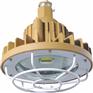 30W LED防爆泛光灯  LED防爆泛光灯