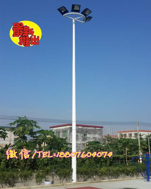 东莞哪有卖篮球场灯杆 球场直杆灯光造型设计  珠海灯杆