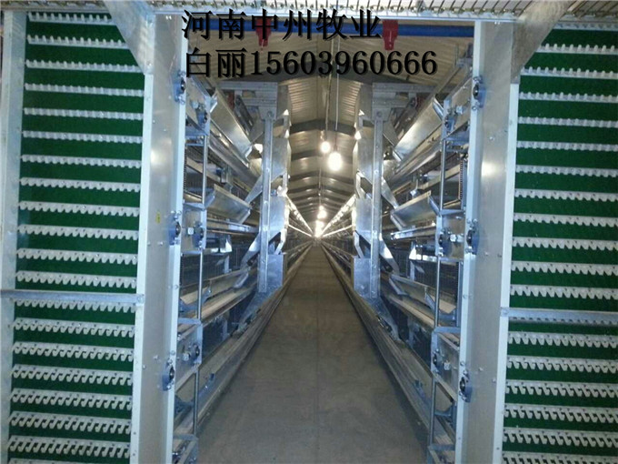 养鸡设备器械哪里有，养鸡设备器械多少钱  鸡笼