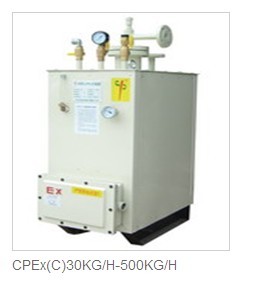 100KG气化器100公斤汽化炉电热式气化器