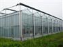 【山东养殖大棚骨架】养殖大棚骨架价格，泰安新绿温室工程