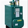 30kg/50kg/100kg/150kg电热式气化器/气化