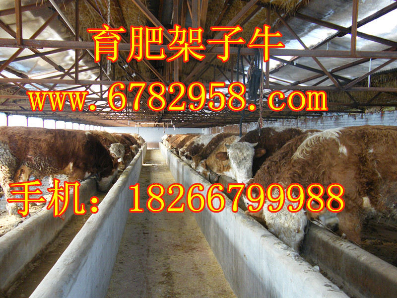 深圳市到丽水市青田县液体危险品精品物流专线  易燃液体运输  涂料运输  液体危险品运输