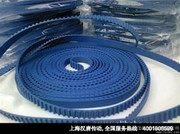 RAPPLON牙带 打孔带