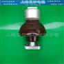 绝缘子-厂家批发:ZPA-6、ZPD-10、ZPB-10针式