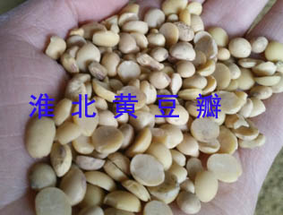 大豆价格  淮北大豆价格  现货大豆行情  黑龙江大豆