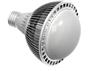 亮智/BWL7-12LED PAR射灯5W7W9W