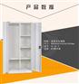 铁皮员工储物柜 SL-B1-4更衣柜 二门更衣柜