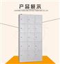 SL-C5-1 全塑更衣柜 浴室更衣柜 十五门更衣柜 更衣柜