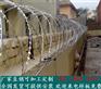 海南三亚楼顶防爬网定制=海南海口天台防盗刺网厂家订制