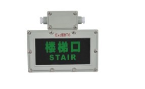供应 BAYD81系列防爆标志灯/BYD-9/20  防爆灯  防爆灯具