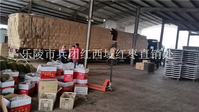 批发若羌红枣厂家  若羌红枣批发价格  新疆灰枣批发  若羌灰枣厂家