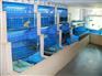 广州酒店海鲜池设计，玻璃海鲜池制作，混凝土海鲜池建设
