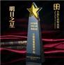 保险公司表彰奖杯定做|明星销售服务柜台奖杯|黑水晶奖杯定做