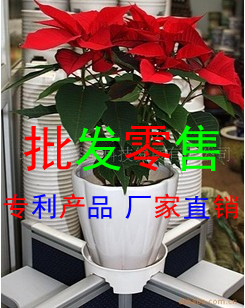 办公屏风隔断花盆托 十字四角托 丁字三角托  浇花王