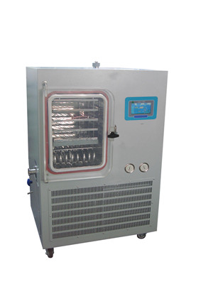 LGJ-30F/LGJ-50F/LGJ-100F硅油冻干机  硅油冻干机价格  硅油冻干机厂家  硅油冻干机制造厂