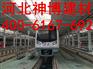 沧州钢骨架轻型板厂家 价格 选大型企业-河北神博
