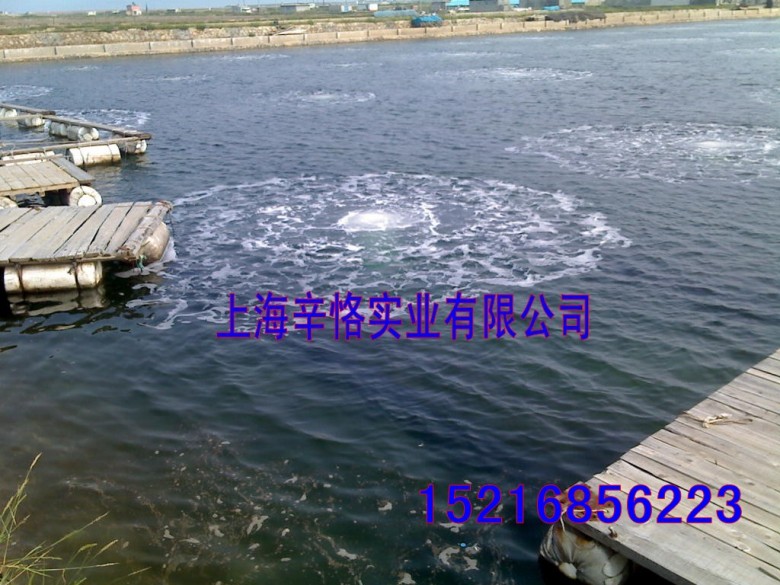 鱼塘供氧气泵  高压增氧气泵  养殖增氧机  鱼池供氧气泵