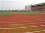 浙江优质硅PU塑胶跑道厂商施工|销售