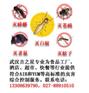 武汉消杀公司,除四害,消灭老鼠