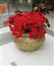 特价热销广场商场美陈玻璃钢梯形花钵 出口FRP花盆