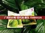 广药白云山纤纤梅怎么样 广药纤纤梅功效说明
