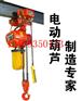 供应2吨【TOYO环链电动葫芦】进口环链电动葫芦|防爆电动葫