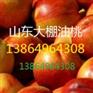 山东油桃山东油桃价格