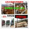 20#流体钢管~8163流体无缝钢管~@~上海无缝钢管销售处