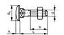 马车螺栓 Carriage bolts