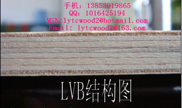 供应全杨木家具用多层板，漂白杨木LVB家具板  LVB胶合板  LVB多层板