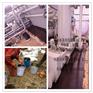 环氧树脂灌浆材料石油石化灌浆料材料专用厂家