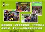 开办学生暑假托辅班怎样安排课程呢