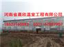 河南省晨欣温室工程大棚建造葡萄大棚需要多少钱?