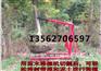 便携式起树机 吊树机厂家 全国首家生产吊树机