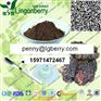 白桦茸提取物，多糖 10%~50%