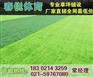 大同人造草坪足球场施工报价