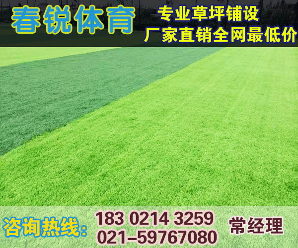 启东足球场人造草坪铺设  人造草皮  施工材料  厂家报价