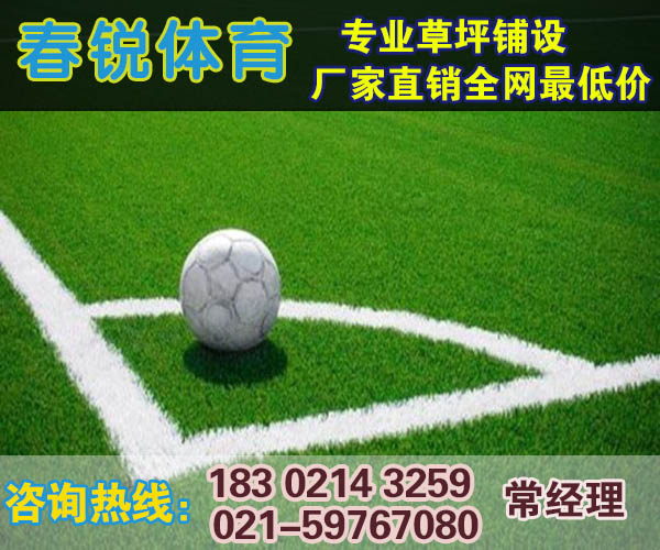 昆山足球场/五人制足球场施工/铺设/厂家报价  人造草皮  施工材料